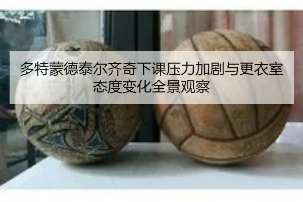 多特蒙德泰尔齐奇下课压力加剧与更衣室态度变化全景观察