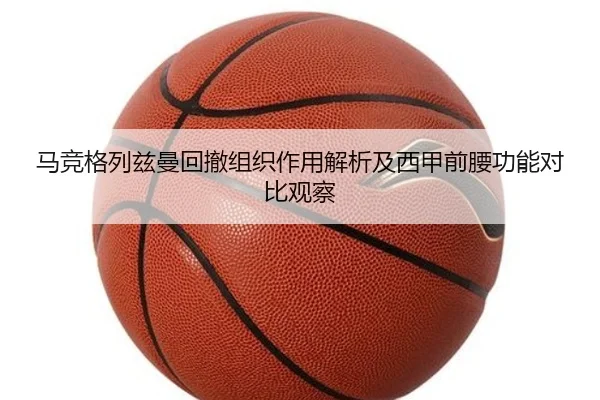 马竞格列兹曼回撤组织作用解析及西甲前腰功能对比观察 | kaiyun